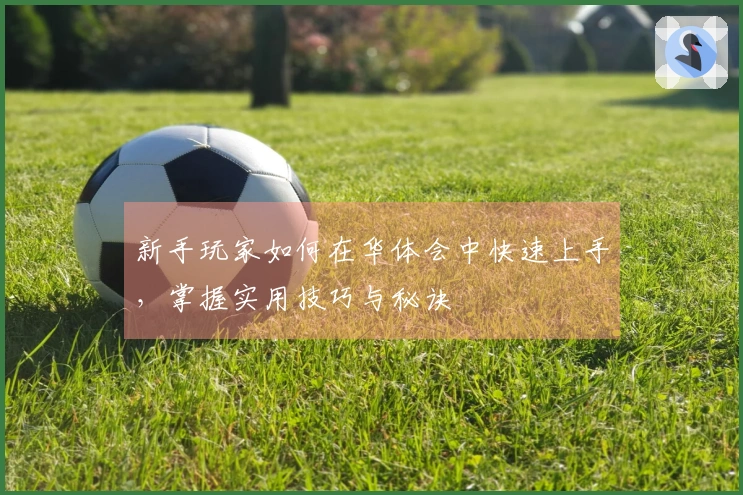 新手玩家如何在华体会中快速上手，掌握实用技巧与秘诀